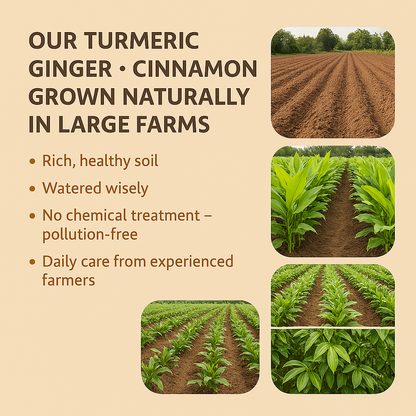 100% Natural Handmade Turmeric Ginger Cinnamon Tea